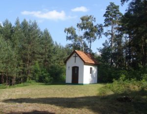 Bromierzyk w Puszczy Kampinoskiej