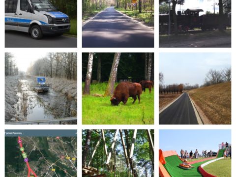 Najpopularniejsze wydarzenia z Puszczy Kampinoskiej z 2018 roku