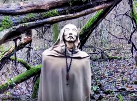 Las widmo w Granicy w Puszczy Kampinoskiej