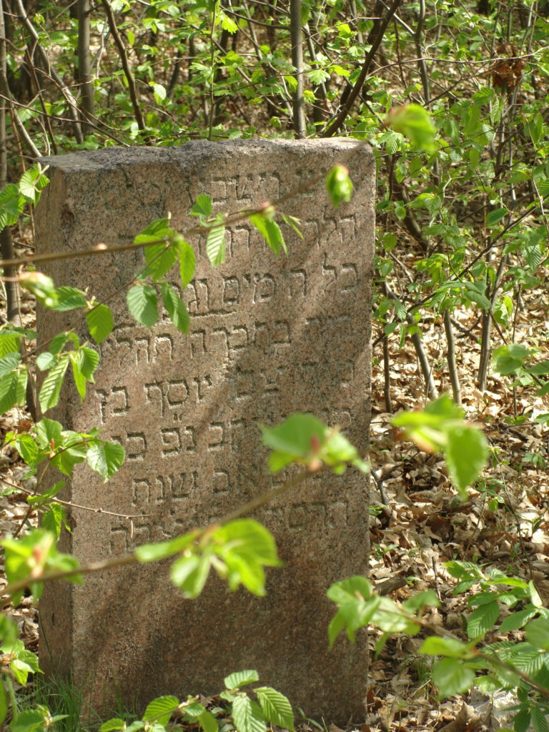 Pozostałości po cmentarzu żydowskim w Wyszogrodzie