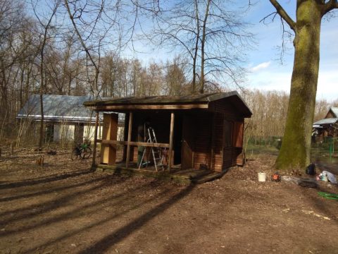 Punkt informacji turystycznej przy polanie Opaleń, Kampinoski Park Narodowy