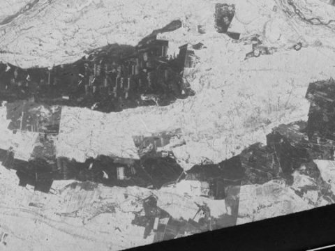 Zdjęcie satelitarne Kampinoskiego Parku Narodowego z 1961 roku (fot. Wikipedia)