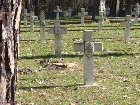 Cmentarz wojenny w Granicy (Kampinoski Park Narodowy)