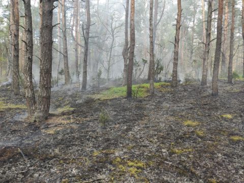 Pożar we wsi Rybitew, gmina Leocin