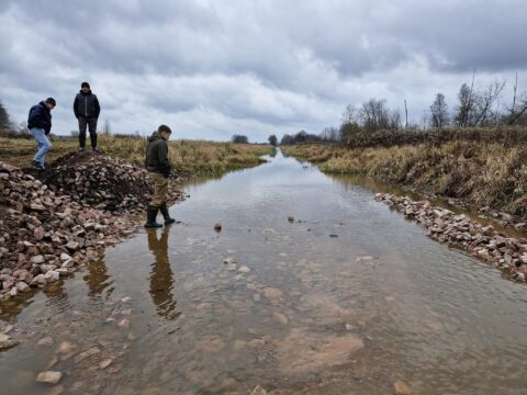 Kampinoskie Bagna kanał Łasica. Fot. Regionalne Centrum Ekologiczne REC Polska