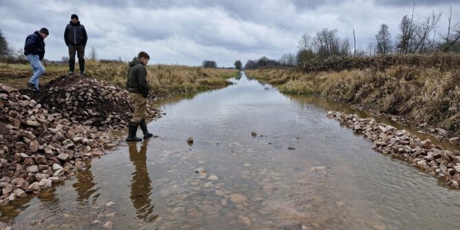 Kampinoskie Bagna kanał Łasica. Fot. Regionalne Centrum Ekologiczne REC Polska